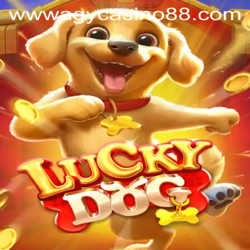 Discovering LuckyDog: A Thrilling New Casino Game by Agycasino88
